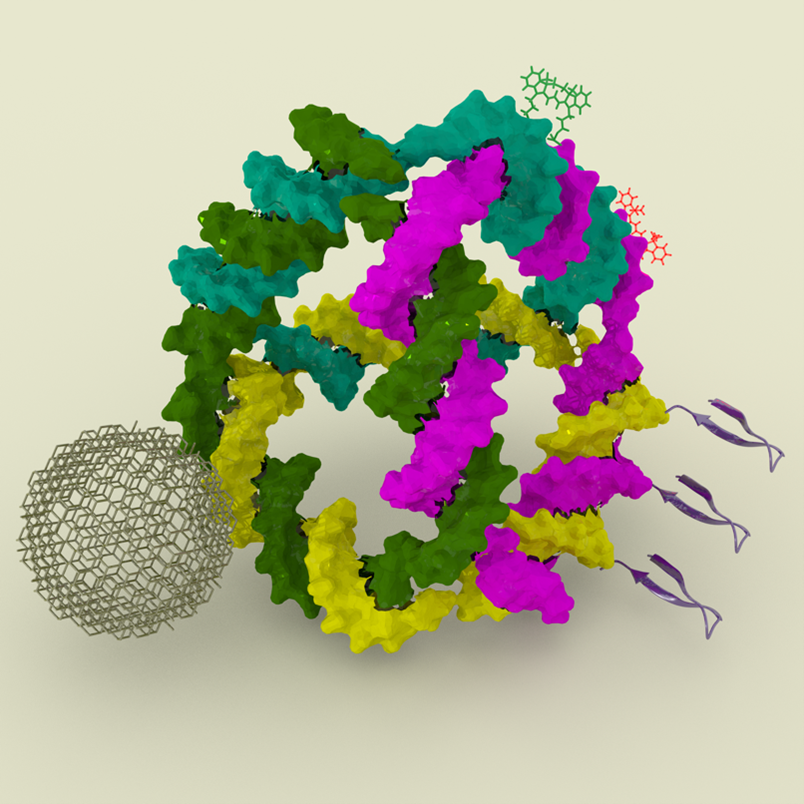 Graphic of a chemical compund using pink, green, teal, and yellow to highlight individual aspects of the compund..